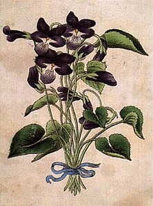 DESAFÍO VISUAL | Encuentra las caras ocultas en las flores en tan solo 6 segundos. | illusionen