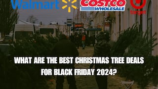 Find out the best Christmas tree deals for Black Friday 2024 today: Price list and discounts at Walmart, Costco and Target