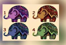 Conoce cuál es tu virtud más grande como persona con tan solo elegir un elefante