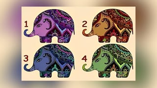 Conoce cuál es tu virtud más grande como persona con tan solo elegir un elefante