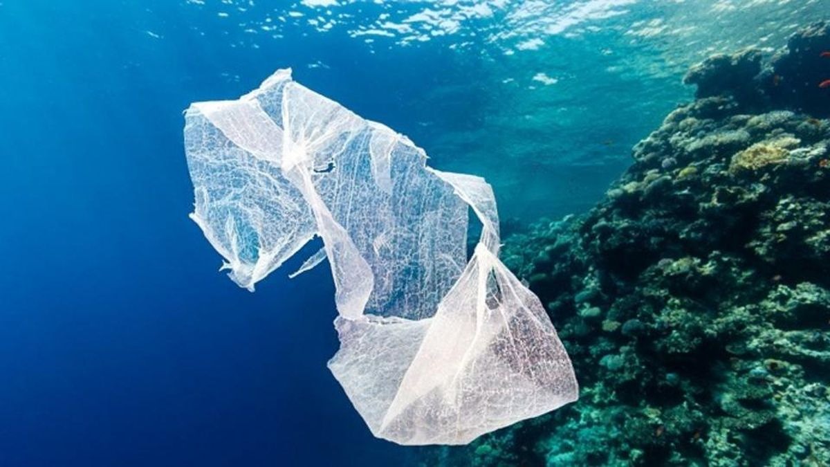 En el Perú, se cuenta con la Ley 30884, que regula el plástico de un solo uso y los recipientes o envases descartables. (Foto: Difusión)