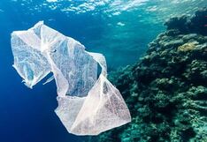 Día Internacional Libre de Bolsas de Plástico: cinco consejos para reducir su uso