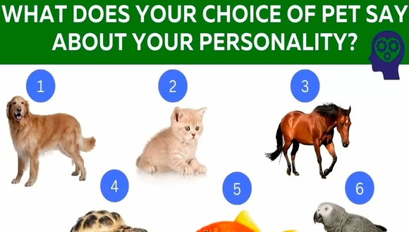 TEST DE PERSONALIDAD | En la imagen se ven seis animales distintos. Solo elige uno de ellos y recibirás información relevante sobre ti. | Foto: jagranjosh