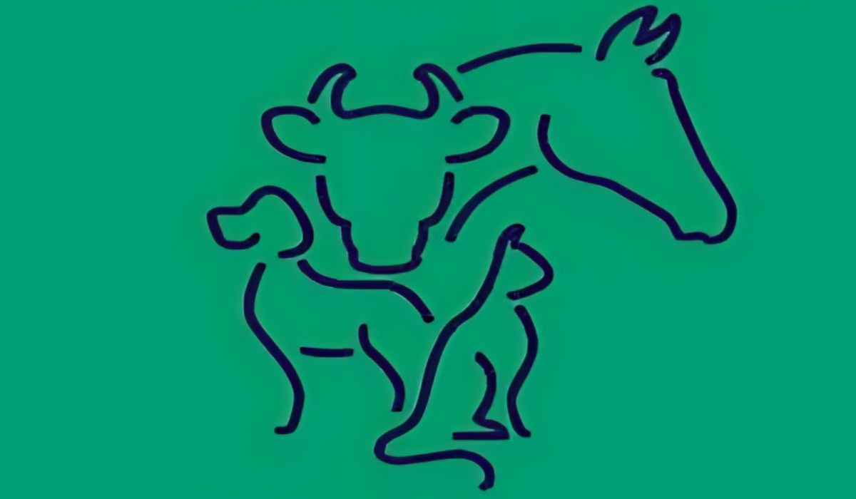 Test visual: el animal que veas primero en la imagen revelará cuál es tu tipo de personalidad (Foto: GenialGuru).