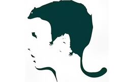 Descubre cuál es tu más grande miedo según lo primero que observes en la imagen