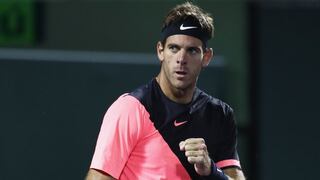 Del Potro avanzó a tercera ronda deMasters 1000 Miami tras vencer aRobin Haase