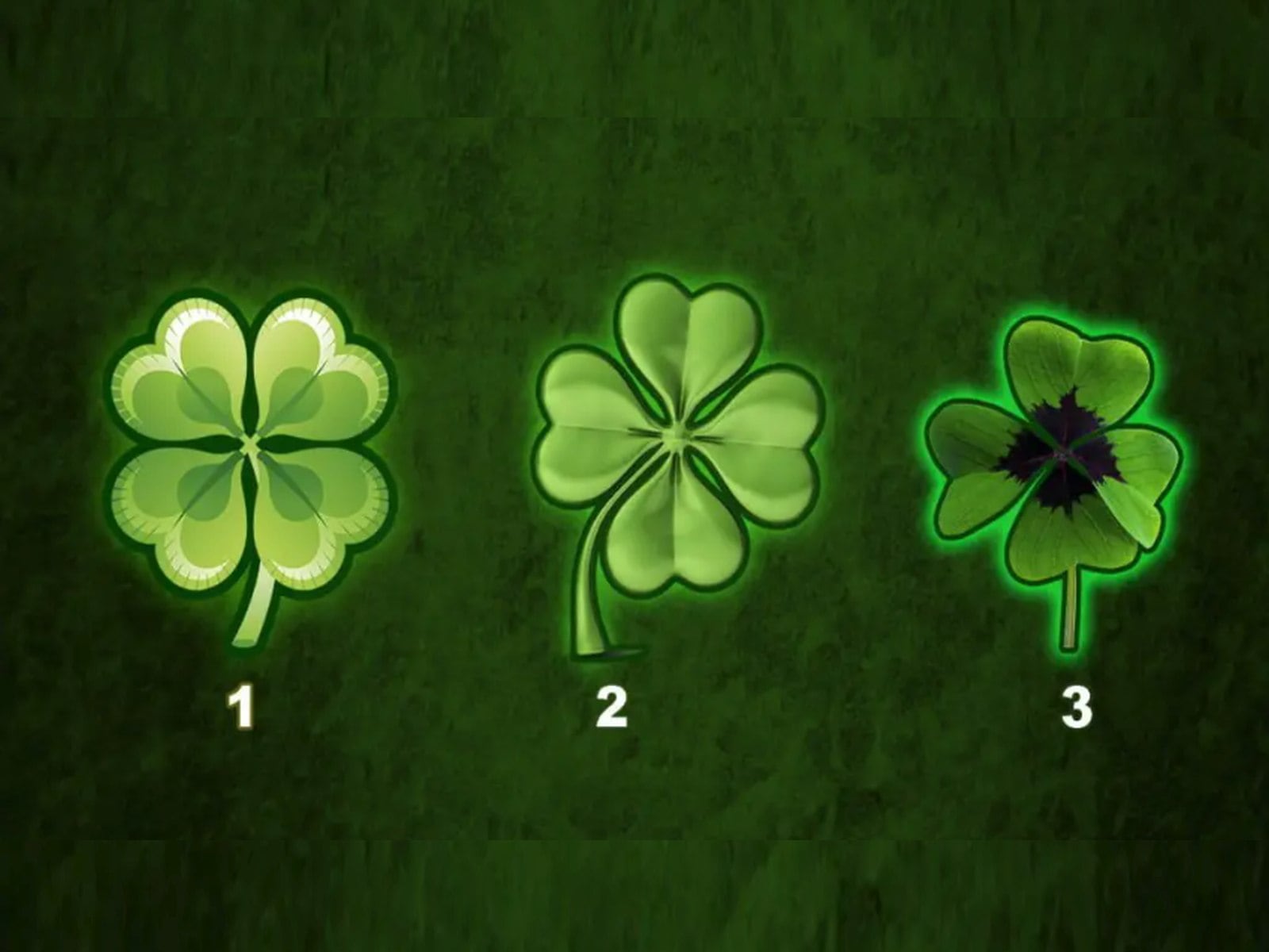 TEST VISUAL | Esta imagen te muestra tres tréboles de cuatro hojas. (Foto: namastest.net)