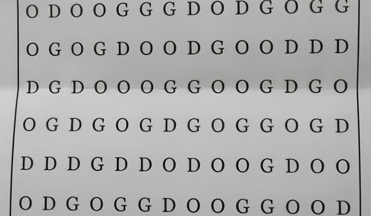 Tienes 5 segundos para localizar la palabra ‘DOG’ en este reto visual (Foto: GenialGuru).