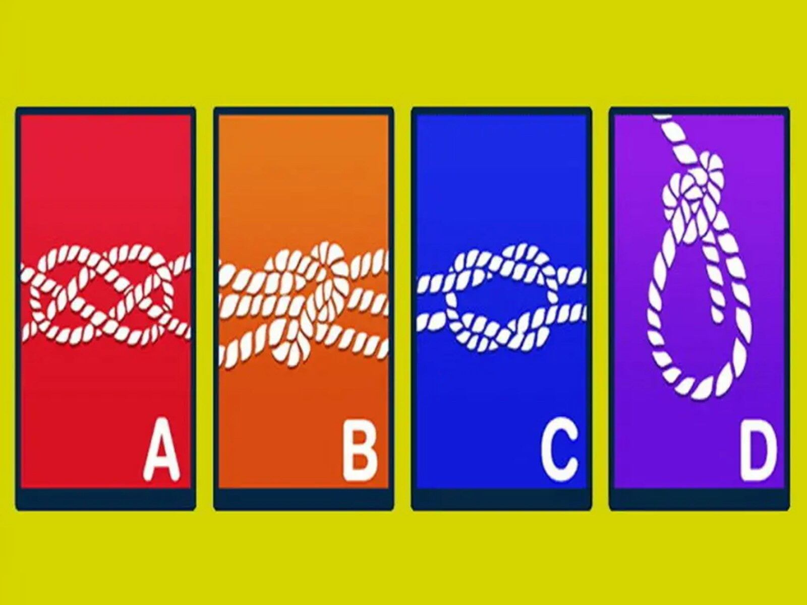 TEST VISUAL | Esta imagen te muestra cuatro nudos diferentes. Indica cuál consideras que es el más fuerte. (Foto: namastest.net)