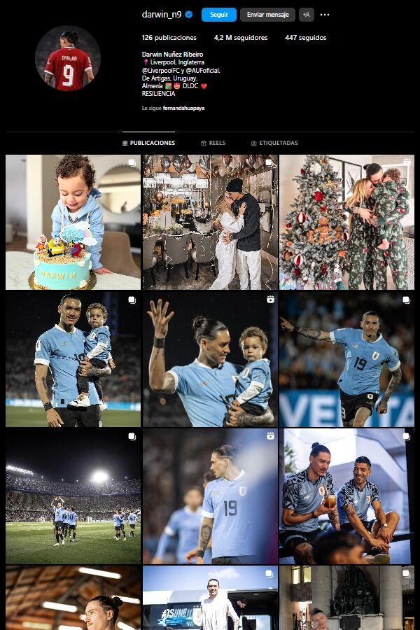 La cuenta de Instagram de Darwin Núñez muestra solo fotos con la camiseta de la selección de Uruguay y del Benfica, habiendo eliminado todas las imágenes que tenía con la camiseta del Liverpool. (Foto: Captura/darwin_n9).