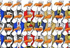 Desafíate y encuentra al pingüino escondido en menos de 10 segundos