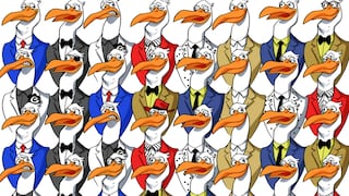 Desafíate y encuentra al pingüino escondido en menos de 10 segundos