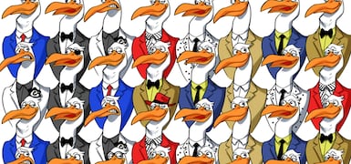 Noticias Sugeridas