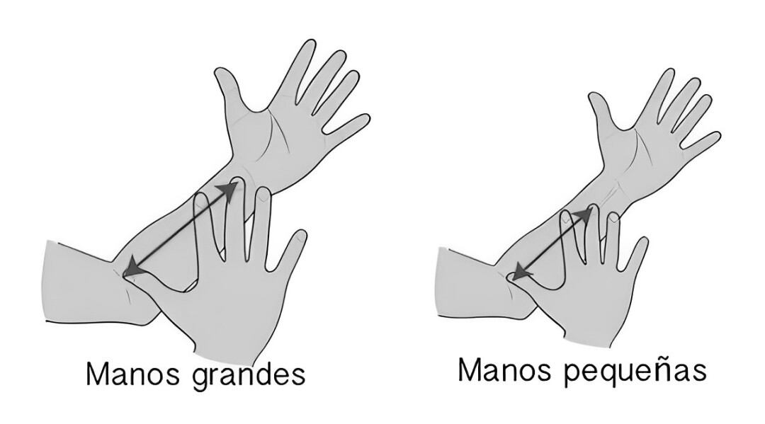 Descubre si tienes cualidades de líder según el tamaño de tus manos en esta imagen (Foto: GenialGuru).