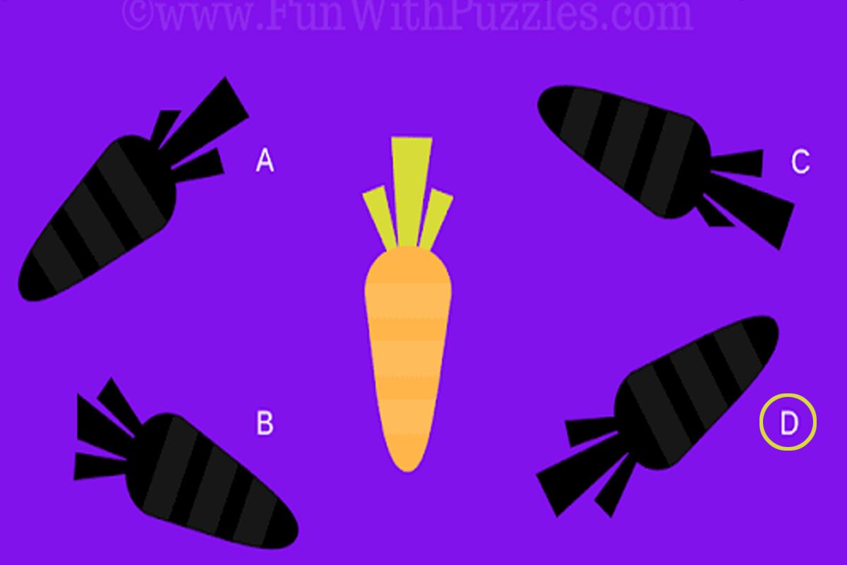 SOLUCIÓN DESAFÍO VISUAL | La letra 'D' es la respuesta