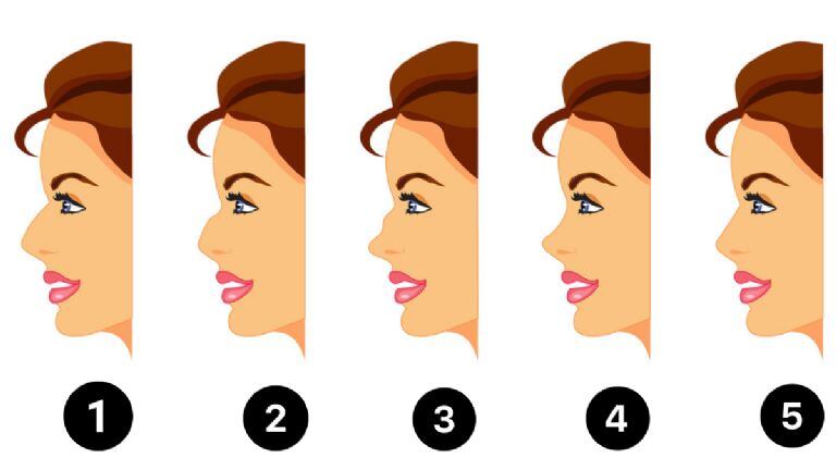 Descubre cuál es tu principal característica de acuerdo a la forma de tu nariz (Foto: Terra).
