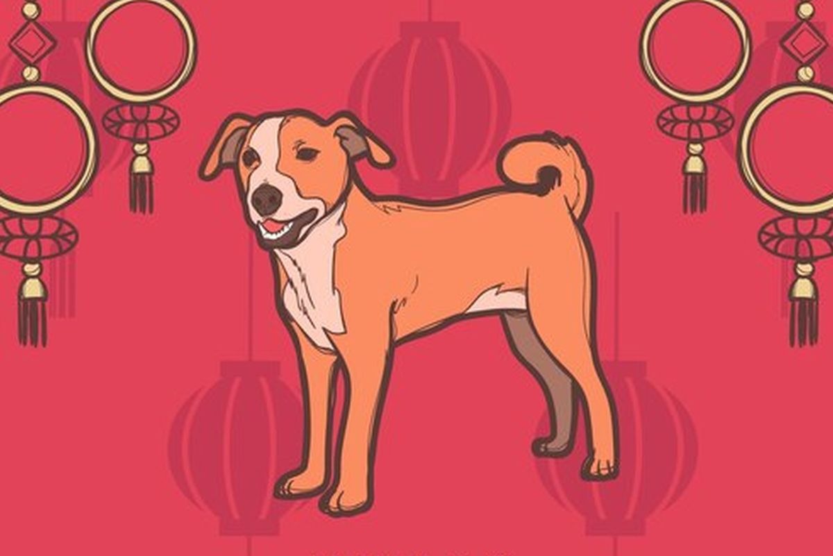 El Perro es el décimo primer signo del horóscopo chino. Es muy leal (Foto: Freepik)
