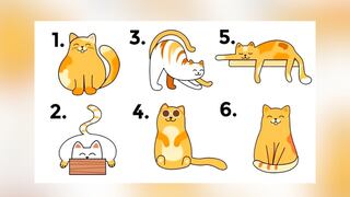 Descubre si tienes rasgos de líder tras elegir uno de los gatos en la imagen