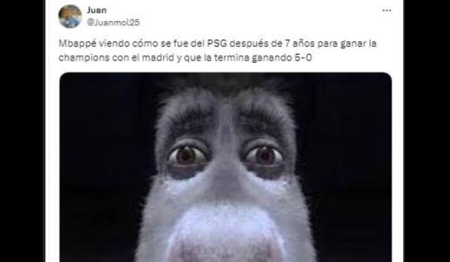 Los mejores memes de la goleada de PSG ante Inter de Milán. (Foto: X)