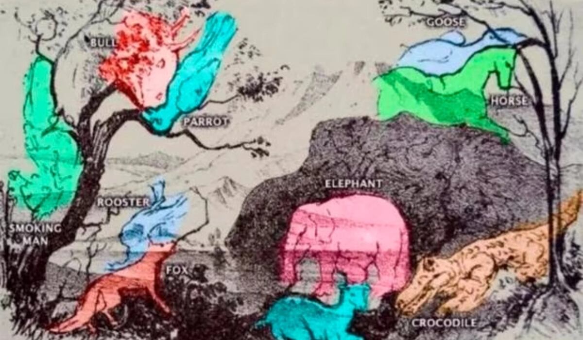 Trata de encontrar la mayor cantidad de animales y así conocerás más sobre tu nivel intelectual.| Foto: genial.guru