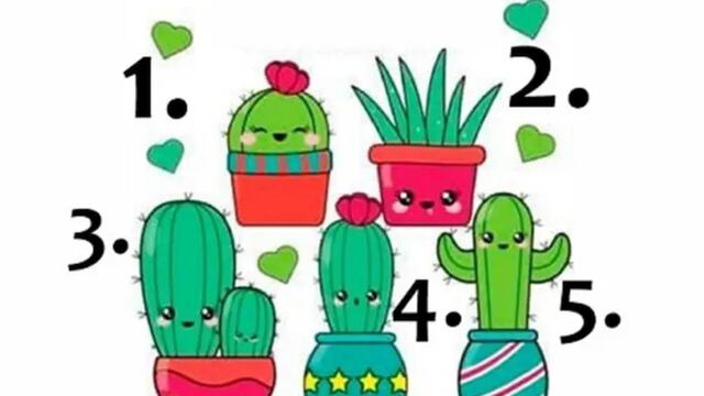 Descubre cómo eres con este test visual: solo tienes que escoger un cactus