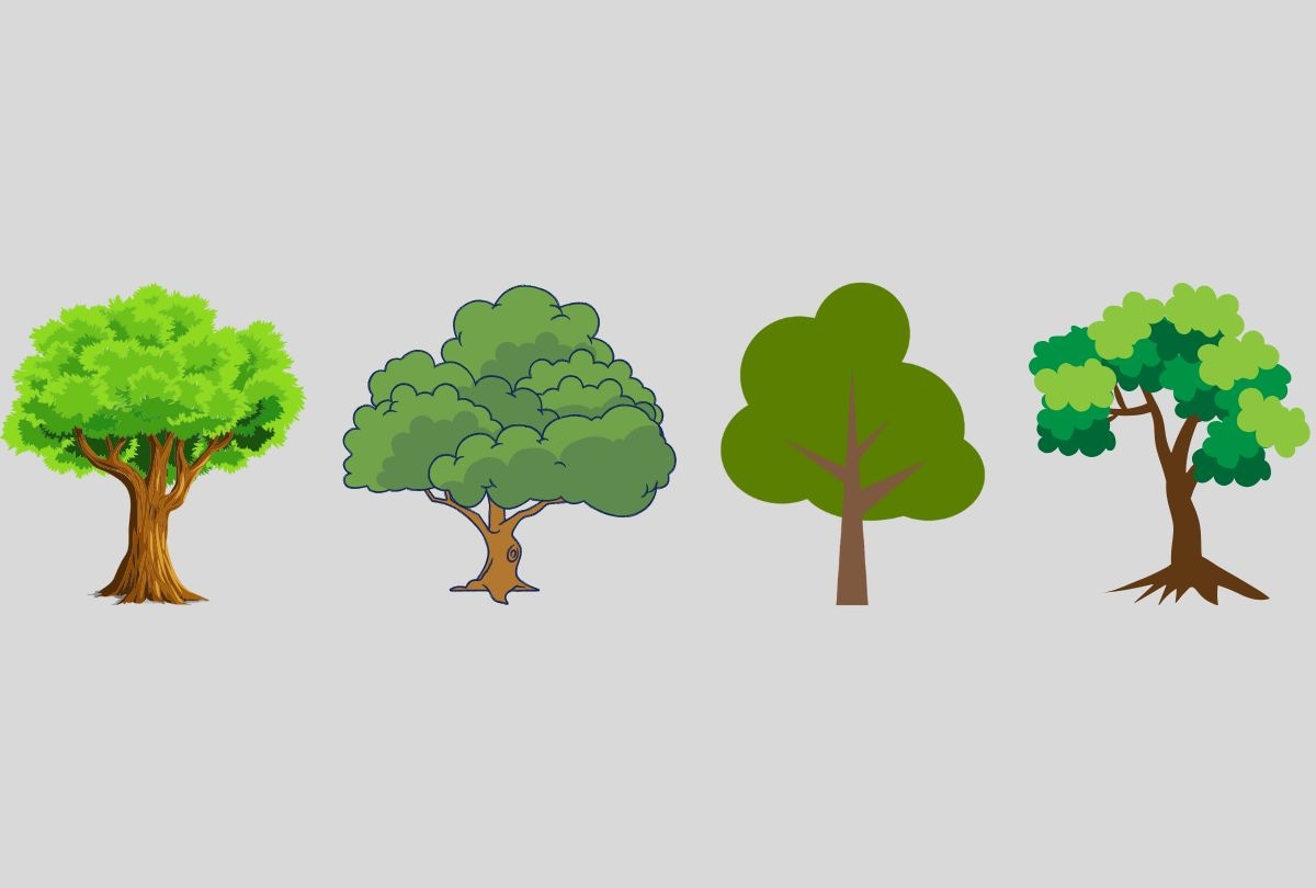 Elige uno de los árboles en este test visual para descubrir qué tipo de carácter tienes (Diseño: Depor).