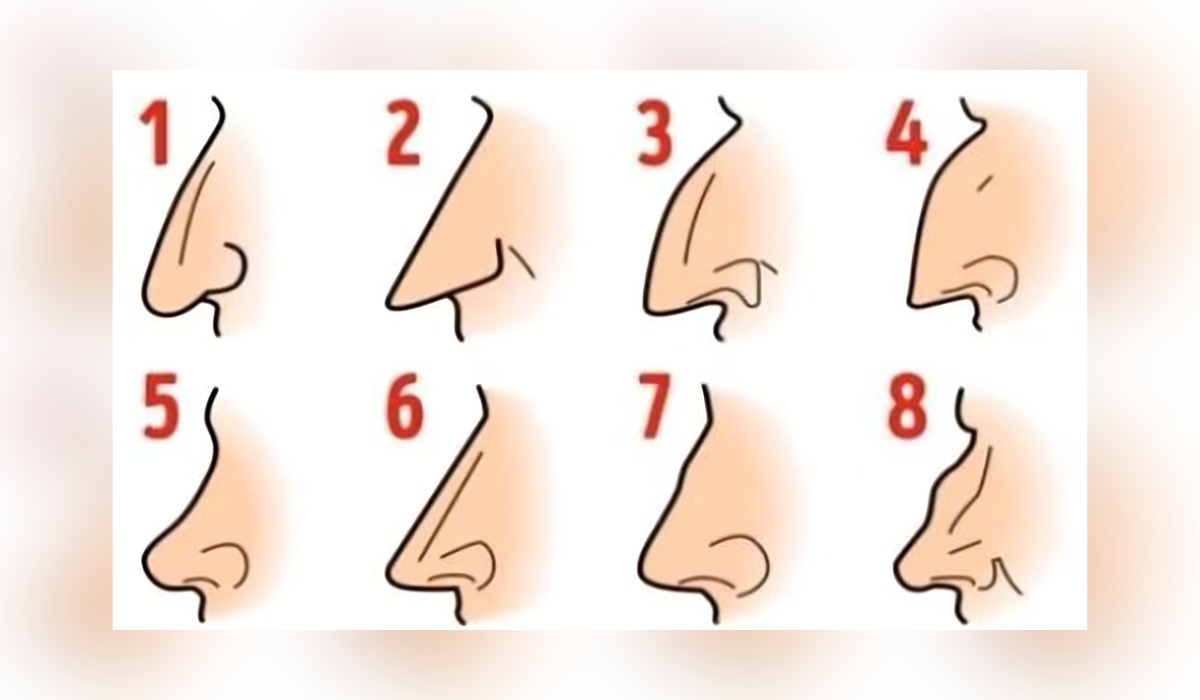 Test de personalidad: descubre el significado de tu nariz según esta imagen (Foto: GenialGuru).