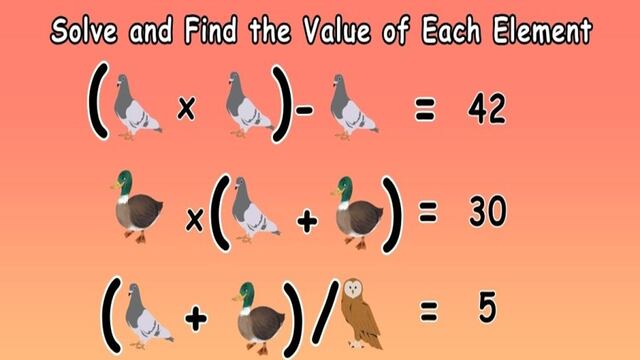 Reto matemático para GENIOS: Descubre los valores de paloma, pato y búho