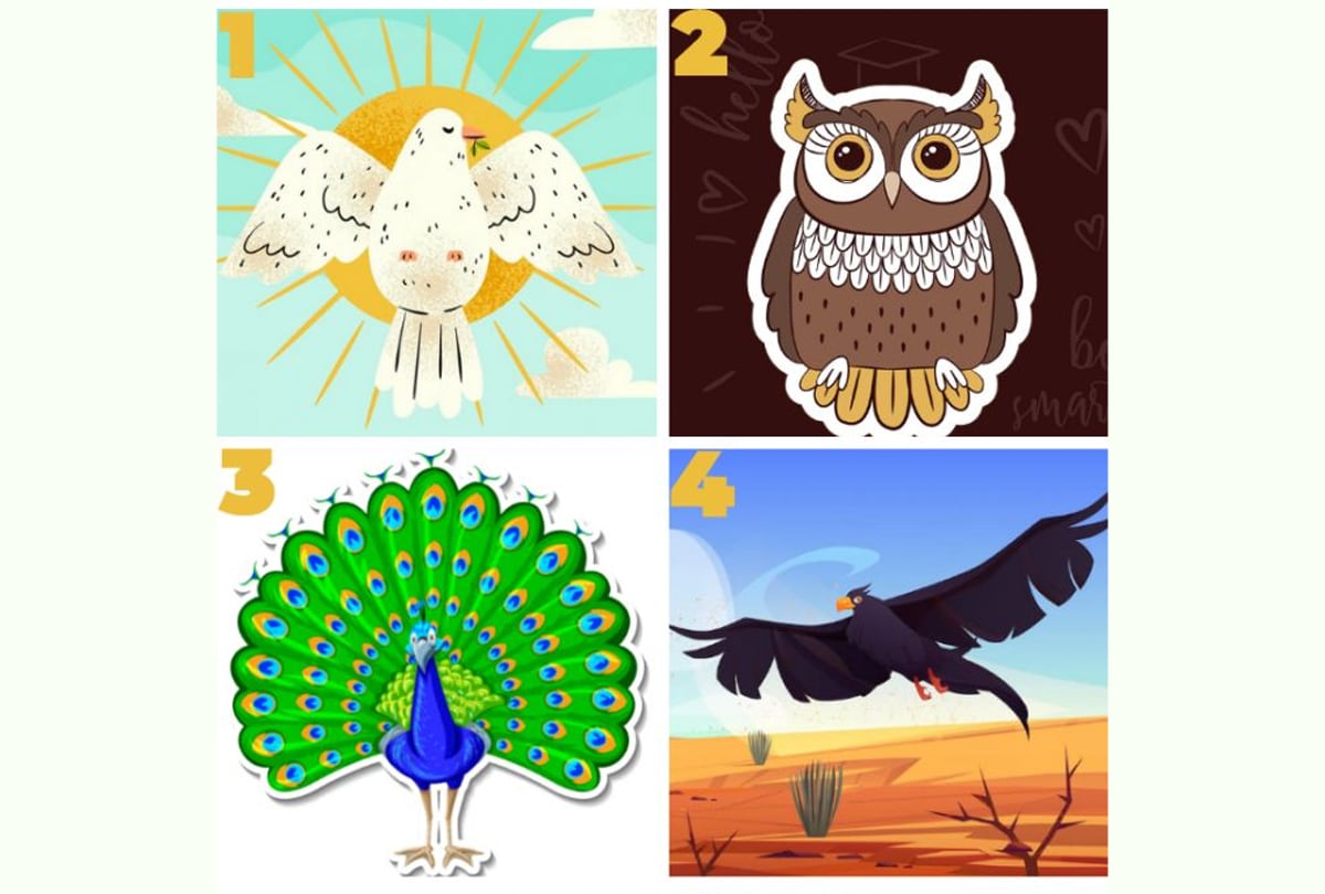 TEST DE PERSONALIDAD | ¿Eres un búho sabio, una paloma pacífica, un pavo real elegante o un ave rapaz audaz?