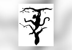 Descubre qué hemisferio de tu cerebro lidera en ti según qué animal ves aquí