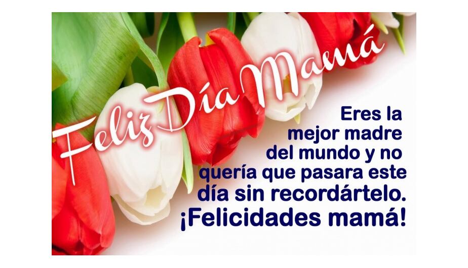 Estos son algunos mensajes de WhatsApp que le puedes enviar a mamá por el Día de las Madres este domingo. ¿Cuál te gusta? (Foto: Captura)