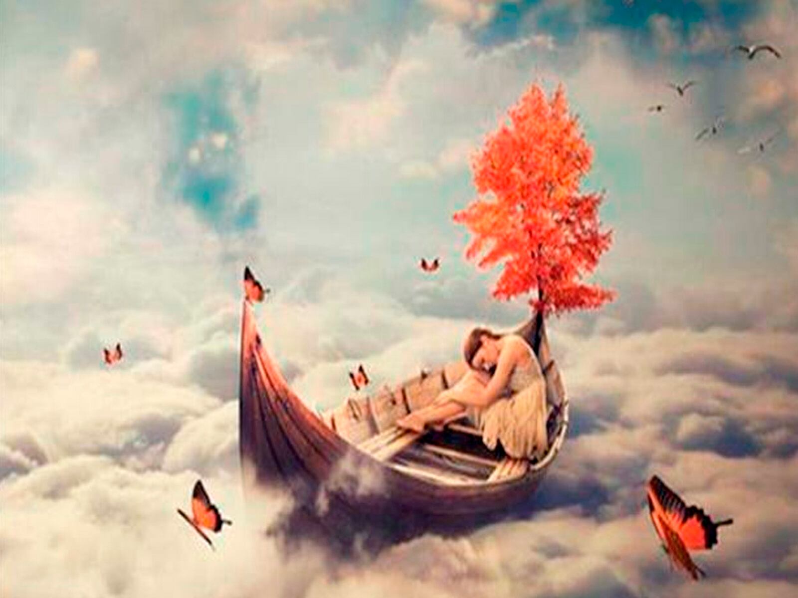 Solo tienes que enfocar tus ojos en la imagen y luego de ello responder cuál elemento lograste captar. | Foto: chedonna