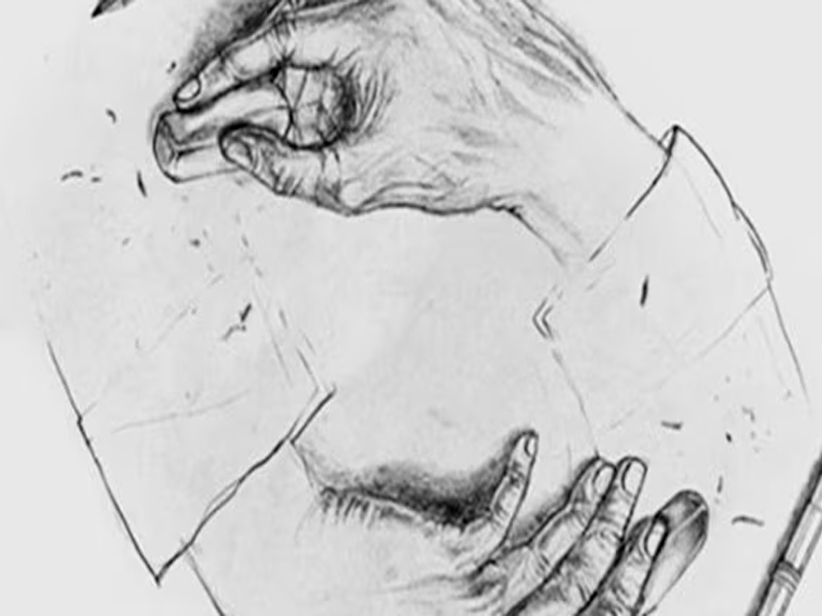 Tan solo debes mirar por algunos segundos la ilustración y luego de ello indicar qué viste primero en la gráfica. | Foto: genial.guru