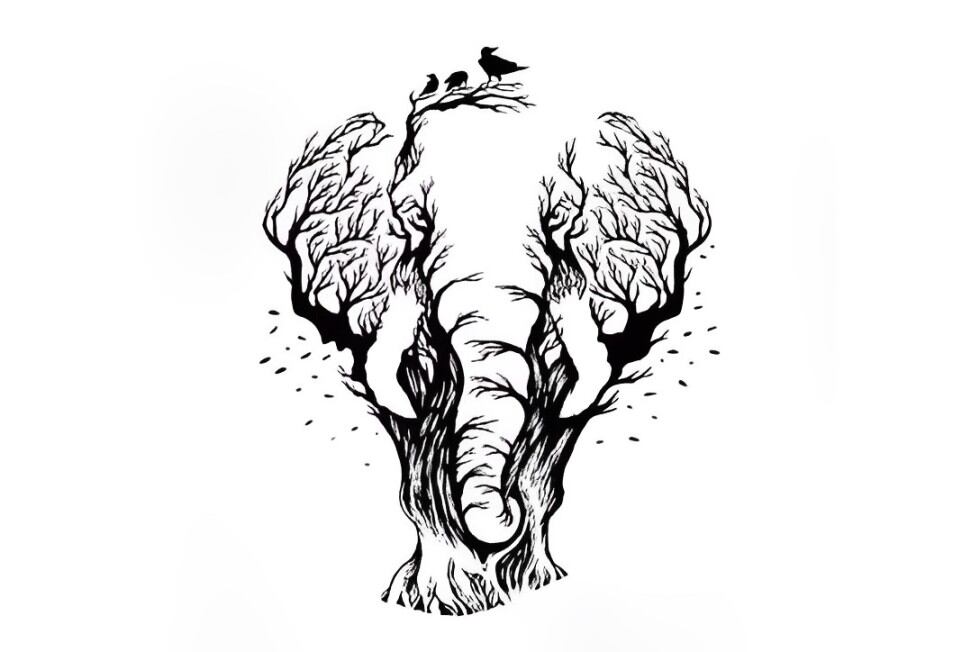 Test visual: descubre si serás una persona exitosa según qué veas en esta imagen (Foto: Pinterest).