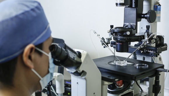 La Inteligencia Artificial es capaz de inspeccionar la calidad de los óvulos (Difusión)