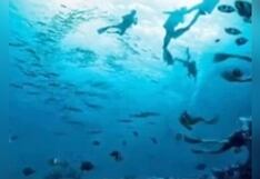 ¿Eres un observador detallista? Descubre lo que revela lo primero que captas en esta ilusión óptica