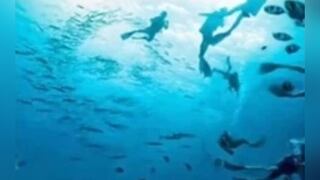 ¿Eres un observador detallista? Descubre lo que revela lo primero que captas en esta ilusión óptica