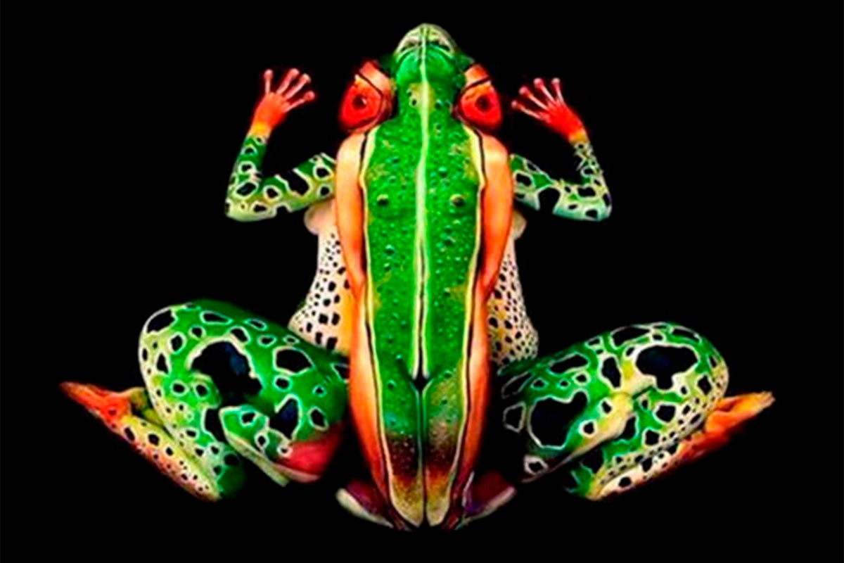 TEST DE PERSONALIDAD | Mira la imagen de la rana y responde cuál elemento se apoderó de tu atención. | Foto: jagranjosh