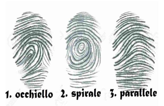 La forma del espiral de tu huella dactilar mostrará tu fortaleza mental. (Foto: Genial.Guru)