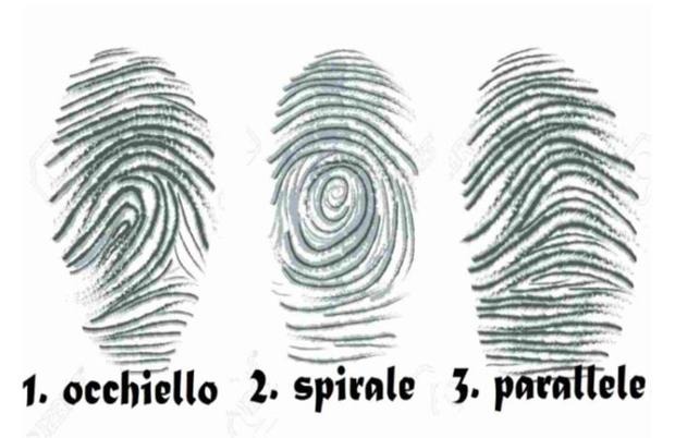 La forma del espiral de tu huella dactilar mostrará tu fortaleza mental. (Foto: Genial.Guru)