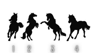 Elige uno de estos caballos y descubrirás qué te hace especial