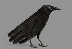 Test visual: elige una figura en esta imagen para saber qué te depara el amor