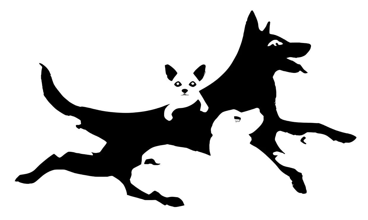 La cantidad de perros que veas en la imagen revelará cuál es tu edad mental real (Foto: GenialGuru).