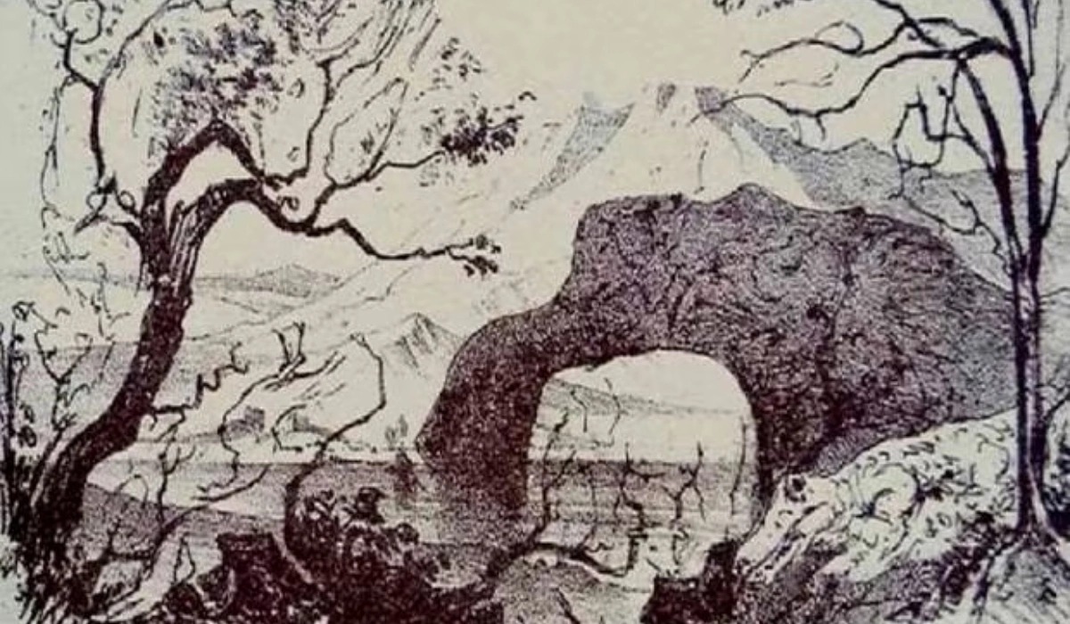 Trata de encontrar la mayor cantidad de animales y así conocerás más sobre tu nivel intelectual.| Foto: genial.guru