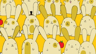 Encuentra al conejo sin pareja oculto entre los demás de la imagen: el desafío visual del momento en redes [FOTOS]