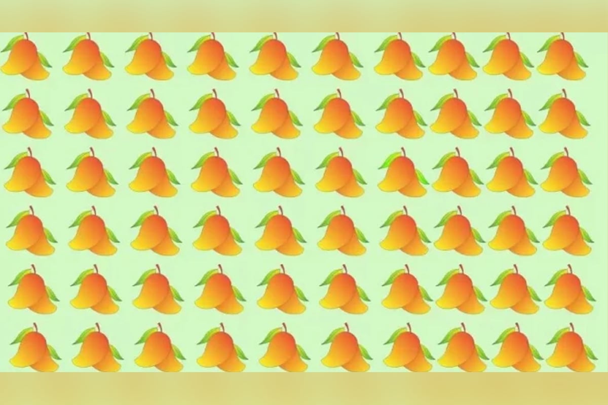 DESAFÍO VISUAL | Tienes una visión 20/20 si puedes detectar el mango extraño en esta ilusión óptica en 10 segundos. (Foto: thesun)