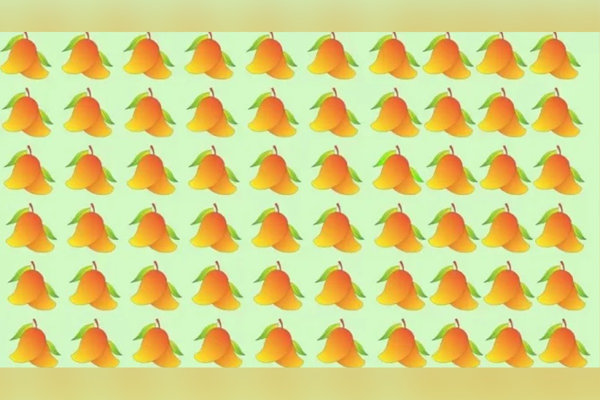 DESAFÍO VISUAL | Tienes una visión 20/20 si puedes detectar el mango extraño en esta ilusión óptica en 10 segundos. (Foto: thesun)