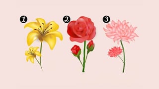 Elige una flor para escucha el mensaje de tu ángel de la guarda