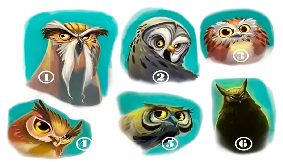 Test de personalidad: el primer búho que escojas determinará si eres una persona optimista o pesimista (Foto: GenialGuru).