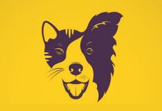 Lo primero que veas en el test visual revelará cómo sirves a las personas